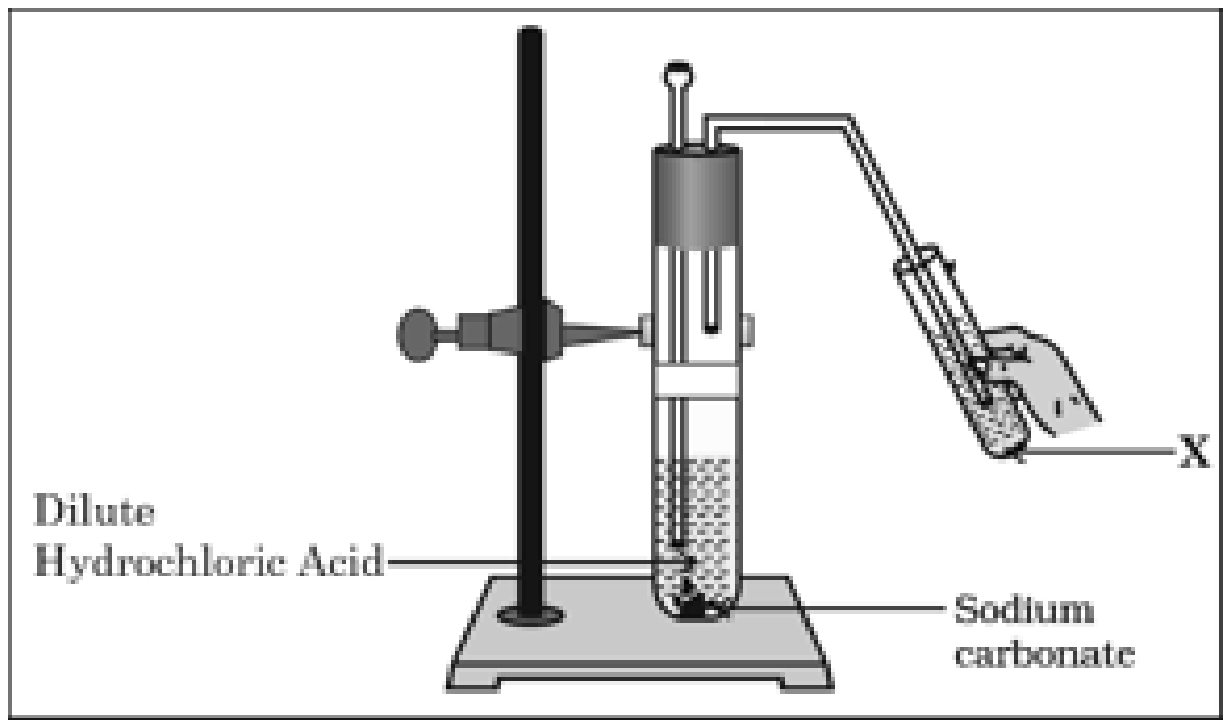 Figure printed with question 1 of the 2023 board paper