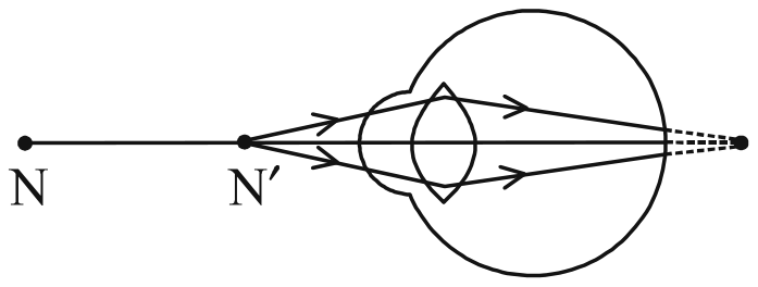 Figure printed with question 31 of the 2024 board paper
