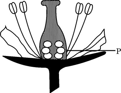 Figure printed with question 2 of the 2026 board paper