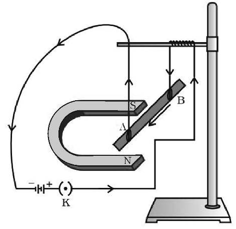 Figure printed with question 37 of the 2026 board paper